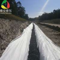 NEW Geosynthetics Mesh Geonet geotextile mat with factory price