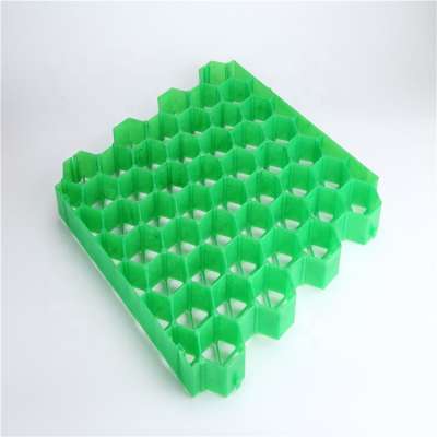 HDPE Plastic Grass Paver Grid Used For Parking Garden